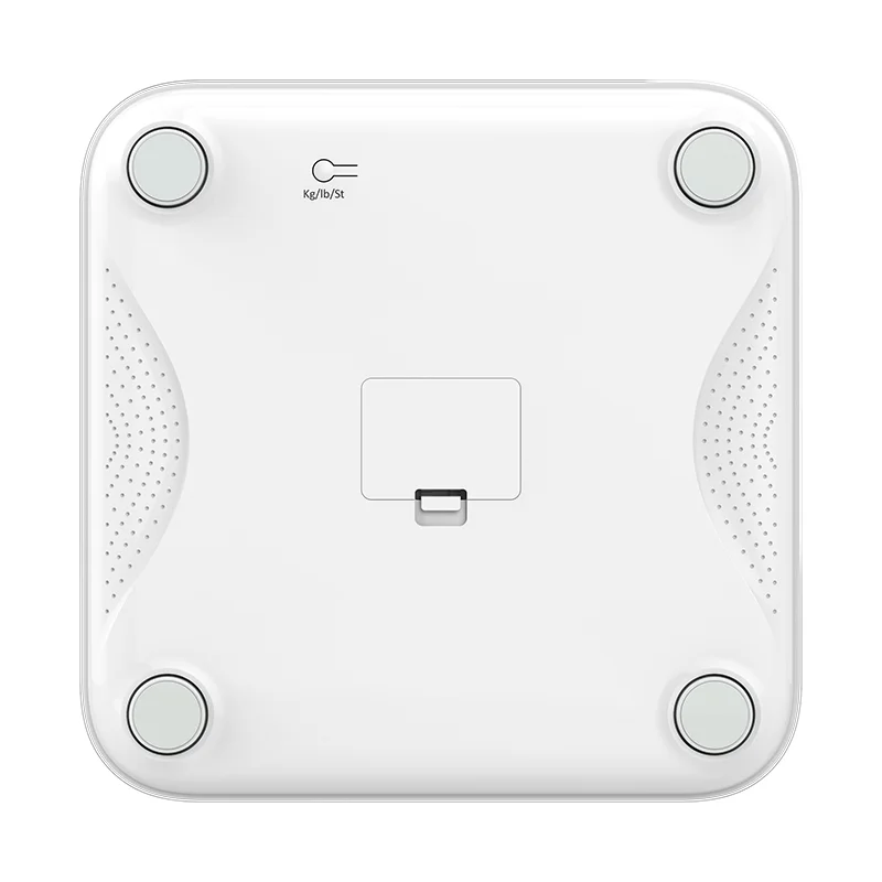 JPD-BS300 Weight Scale - Image 4